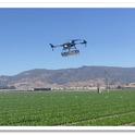 In-field drone release of green lacewing eggs and predatory mites