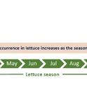 Figure 1. Yearly cycle of INSV in the Salinas Valley