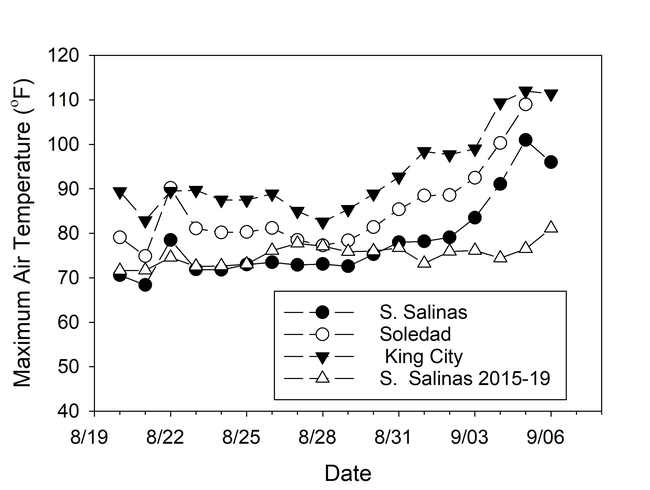 Figure 1.  Maximum air temperatures recorded at the South Salinas, Soledad, and King City CIMIS weatherstation from August 20 – September 6, 2022.  Average maximum air temperatures for the same period during years 2015-2019 for South Salinas are also shown