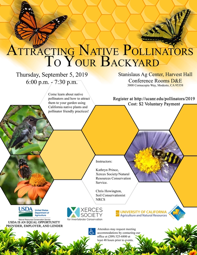 Pollinators-in-your-Backyard poster