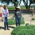 Yolo County Master Gardener volunteers tour the garden