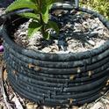 Bee watering container made from a soaker hose