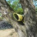 Nesting tube for cavity-nesting bees.  These will be available for purchase at the open house to support the Haven.