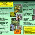 Bee gardening basics handout image