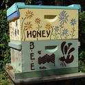 Hive reduced to two boxes for the winter