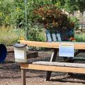 The Junior Bee Gardener Learning Zone