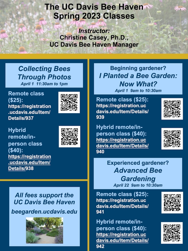 UC Davis Bee Haven 2023 classes flyer
