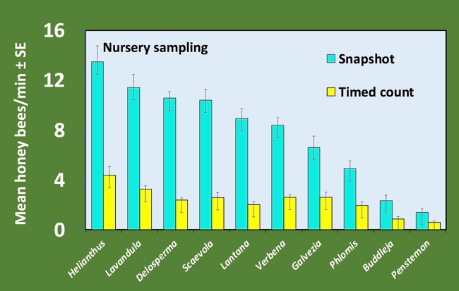 Graph of bee attractiveness at a nursery