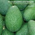 avocado problme solver guide