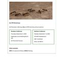 Ant Workshop Page 1