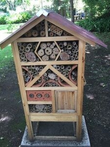 bee hotel