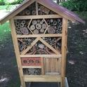 bee hotel