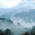 cloud forest costa rica