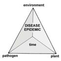 disease pyramid