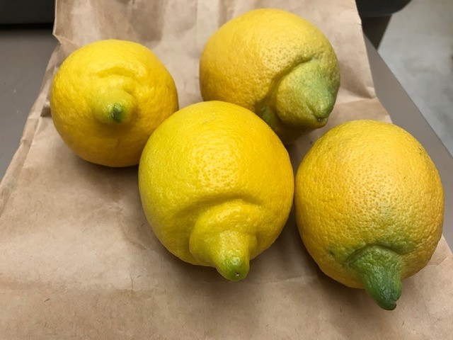 lemon valley nipples