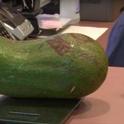 avocado fruit 6 pounds