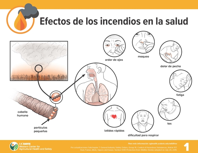 smoke health poster spanish