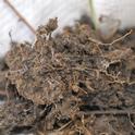 soil texture granular