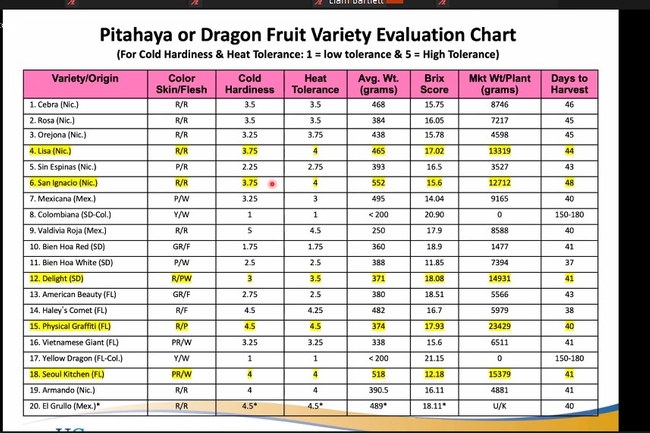 dragon-fruit-recommendations chart