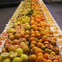 citrus table varieties