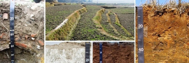 soil heading pictures