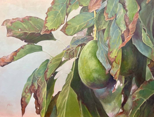 avocado fruit art