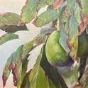 avocado fruit art