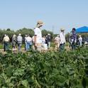 Dry Bean Varieties Workshop