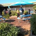 School garden at Arizona Middle