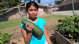 Guess the weight of this zucchini