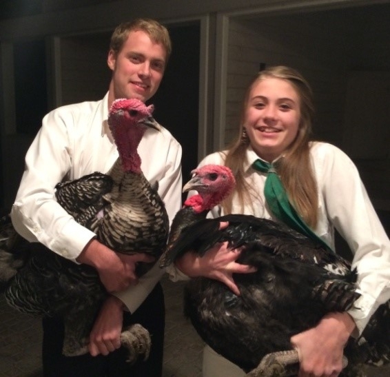 4-Hers w full grown turkeys