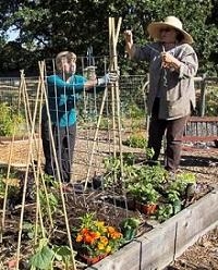 Master Gardeners Susan Shaw and Kathy Matonak construct teepees for vertical gardening in a demonstration bed.