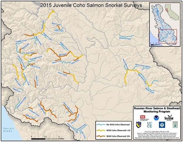 2015 Juvenile Coho Salmon Snorkel Surveys map
