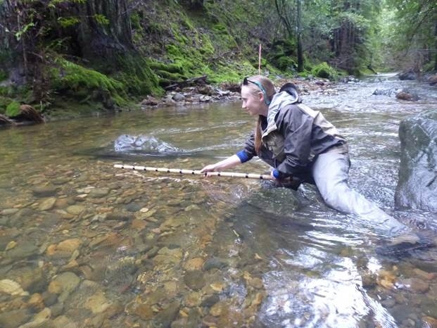 Jenna, a member of Watershed Steward Program Americorps, is is measuring an adult salmon nest(redd) on Redwood Creek