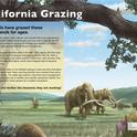 Grazing Panel - California Grazing