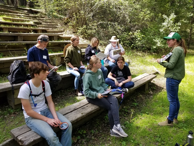 4-H Advisor, Maggie Gunn, helps participants explore the wildflowers of Las Posadas State Forest