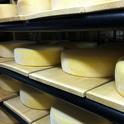 Cheese Aging