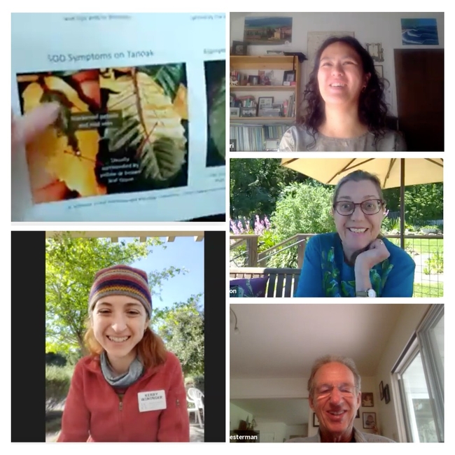 SOD Program Coordinator Kerry Wininger, SOD Specialist Master Gardeners Janet Calhoon and Alan Chesterman, SSU Center for Environmental Inquiry Naturalist Eri Sawairi, met virtually with SOD Blitz participants via 3 Zoom Q&A sessions on May 2 & 3, 2020