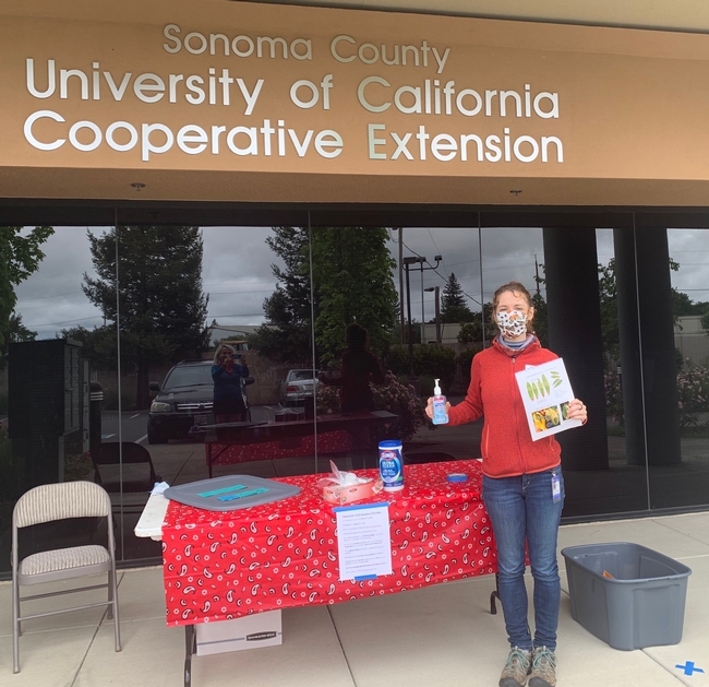 SOD Program Coordinator Kerry Wininger distributes collection packets to participants at the UCCE Sonoma office on May 3, 2020