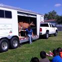 Here Buttercup's handler squirts milk out into the crowd of students.