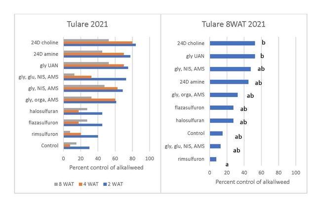 Figure 3: Selected 2021 results from the Tulare site. Letters denote significant differences using Tukey's HSD.