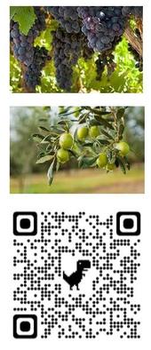 grape-olive-QRcode