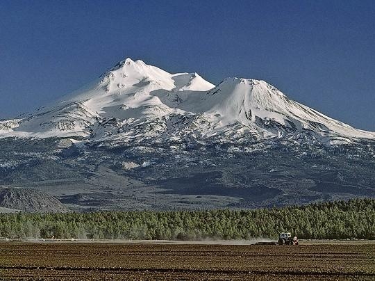 Siskiyou County is located at the top of the state of California! With glorious sights such as Mount Shasta, and rambling hills as a backdrop, this county is home to diverse agricultural commodities.