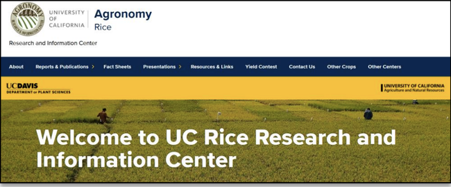 UC Rice Research & Information Center homepage