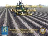 Alternative Cultivators for Organic Vegetable Production video