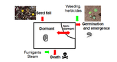Fig. 1. Flow chart for the dynamics of weed seeds in the soil (Harper 1977).