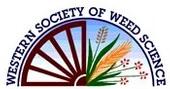 WSWS logo