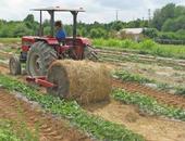 Straw roller in the field