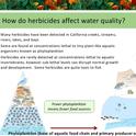 herbicide screen