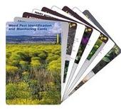 Weed Pest Identification and Monitoring Cards